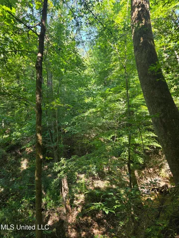 $99,000 | Tate Road, Natchez, MS 39120