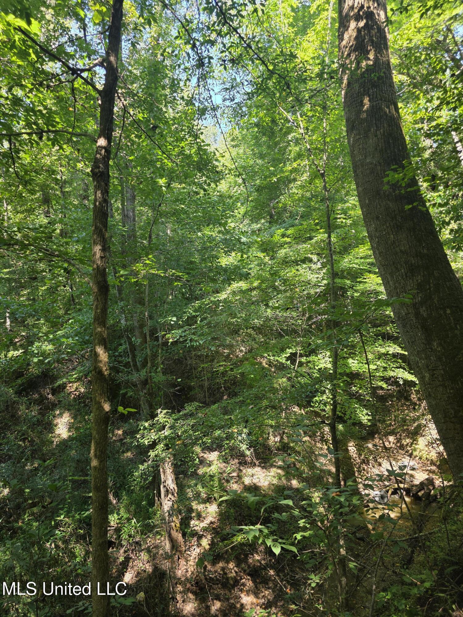 Tate Road Natchez, MS 39120 - Photo 48 of 74 15869