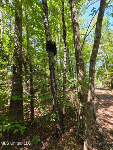 $99,000 | Tate Road, Natchez, MS 39120