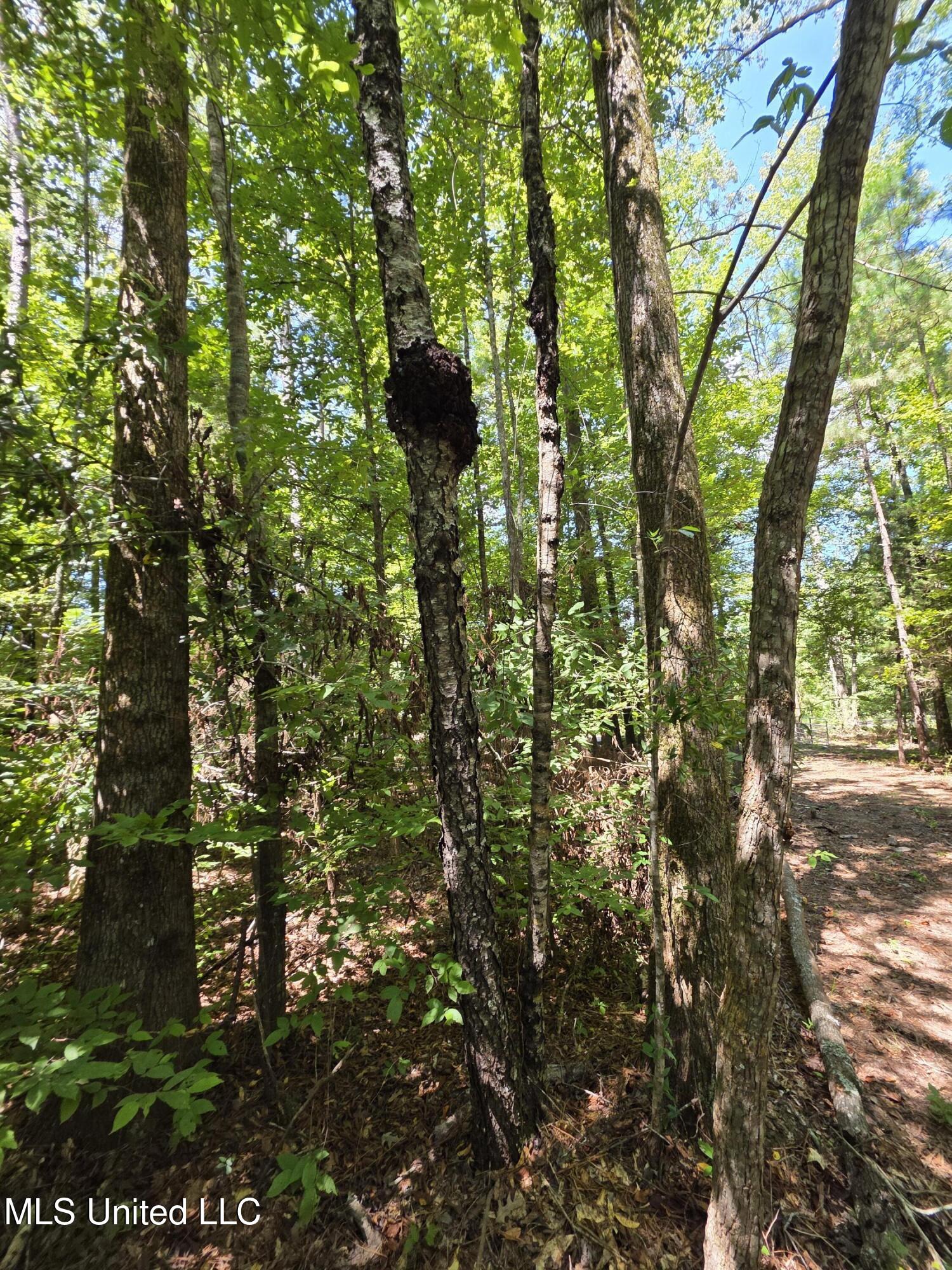 Tate Road Natchez, MS 39120 - Photo 49 of 74 15878
