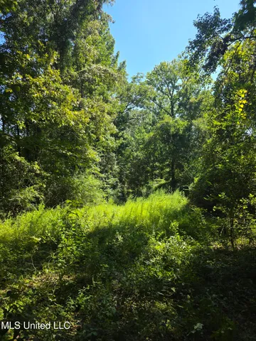 $99,000 | Tate Road, Natchez, MS 39120