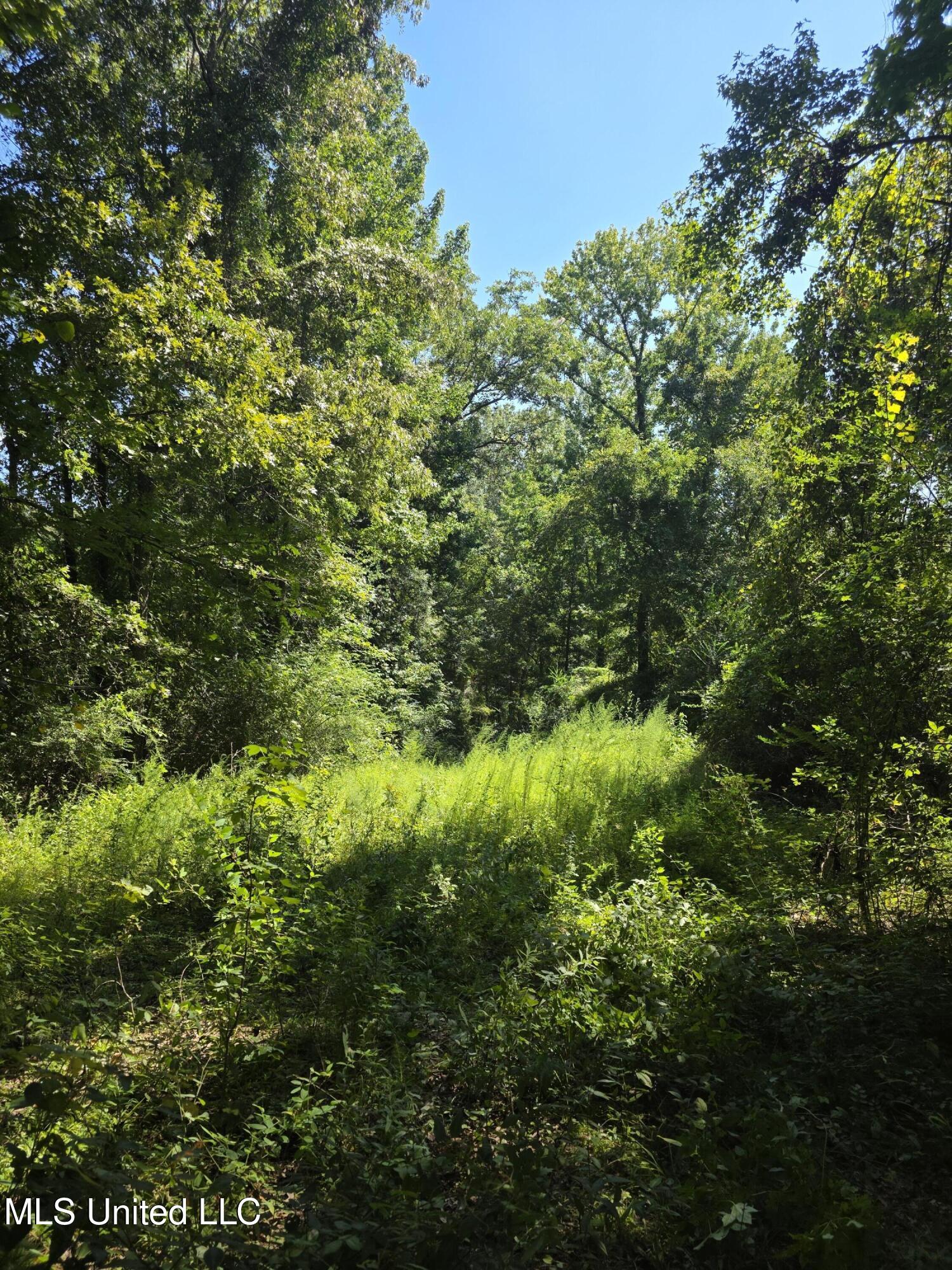 Tate Road Natchez, MS 39120 - Photo 50 of 74 15876