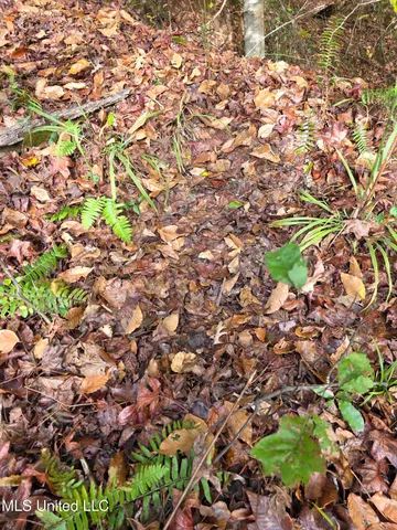 $99,000 | Tate Road, Natchez, MS 39120