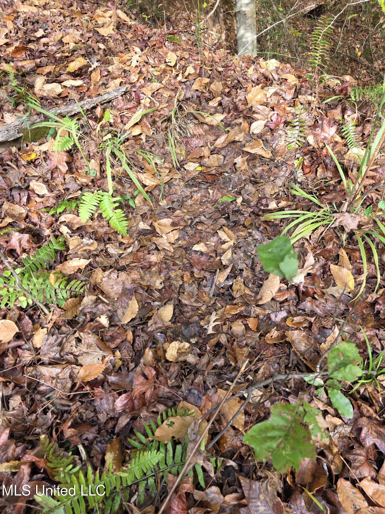 Tate Road Natchez, MS 39120 - Photo 52 of 74 21411