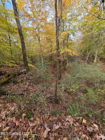 $99,000 | Tate Road, Natchez, MS 39120