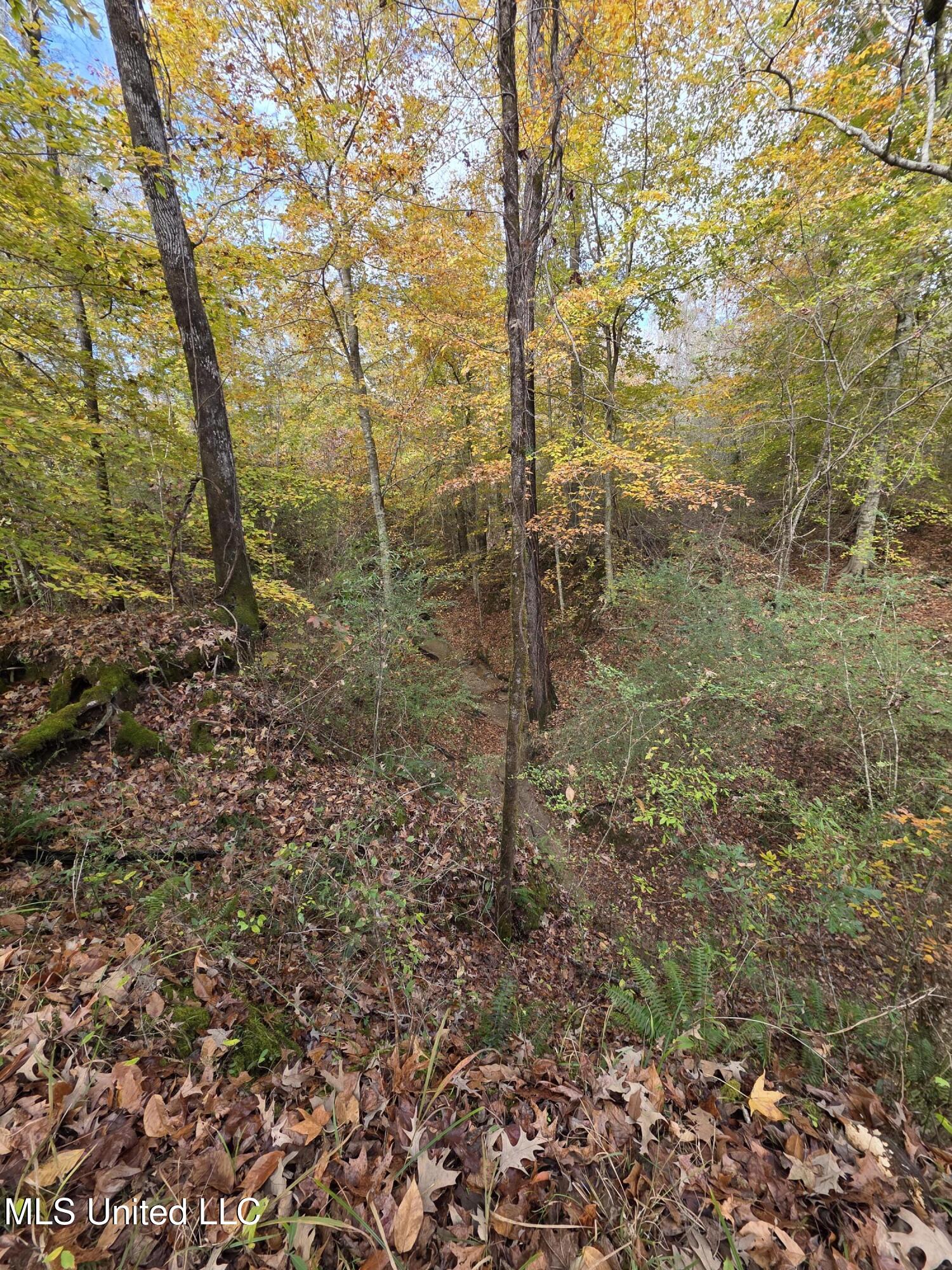 Tate Road Natchez, MS 39120 - Photo 53 of 74 21410