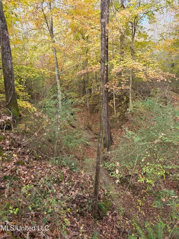 $99,000 | Tate Road, Natchez, MS 39120