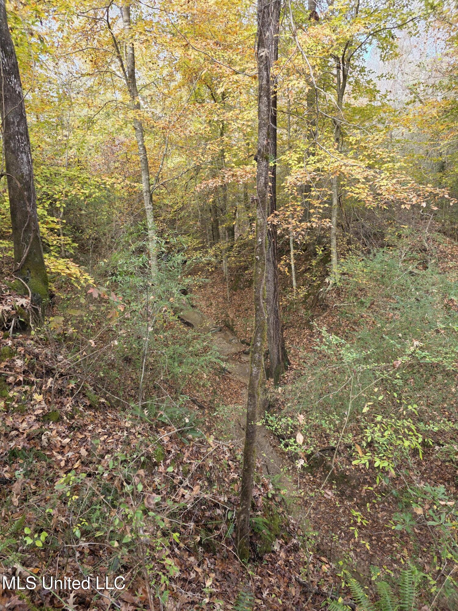 Tate Road Natchez, MS 39120 - Photo 54 of 74 21409