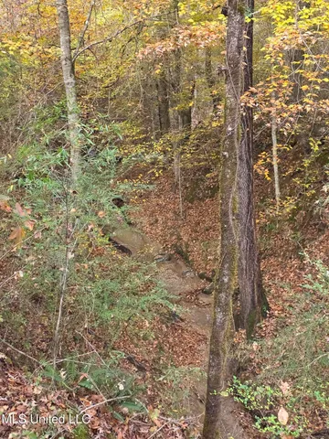 $99,000 | Tate Road, Natchez, MS 39120