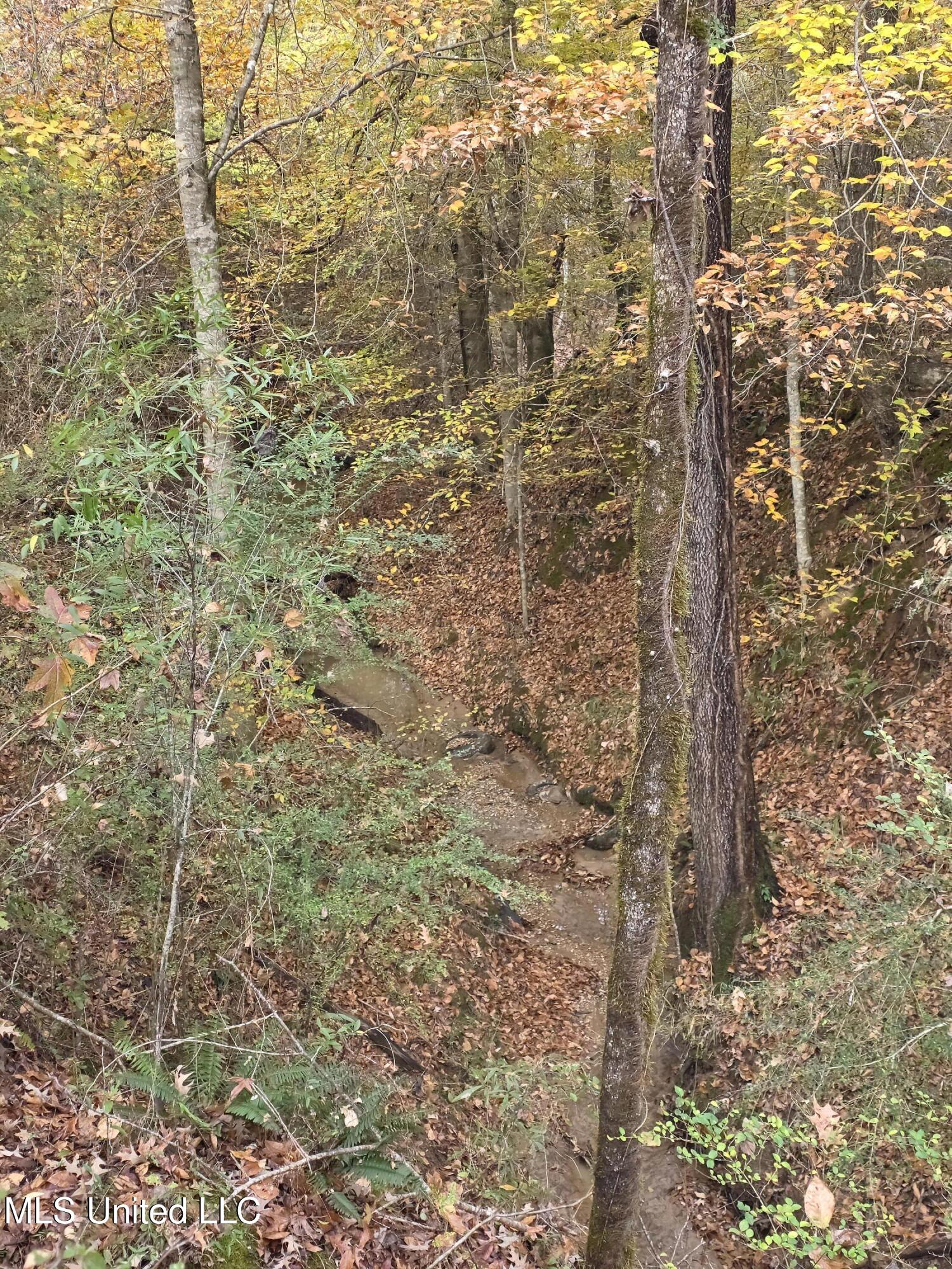 Tate Road Natchez, MS 39120 - Photo 55 of 74 21408