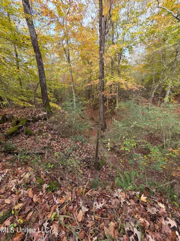 $99,000 | Tate Road, Natchez, MS 39120