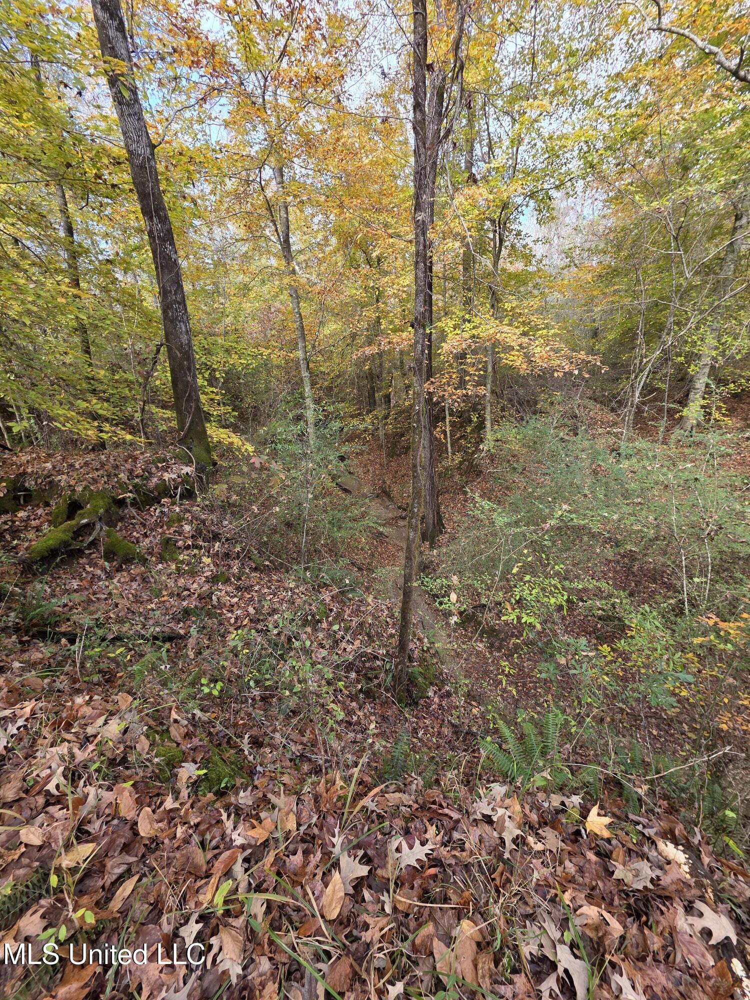 Tate Road Natchez, MS 39120 - Photo 56 of 74 21407