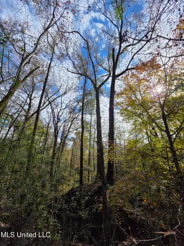 $99,000 | Tate Road, Natchez, MS 39120