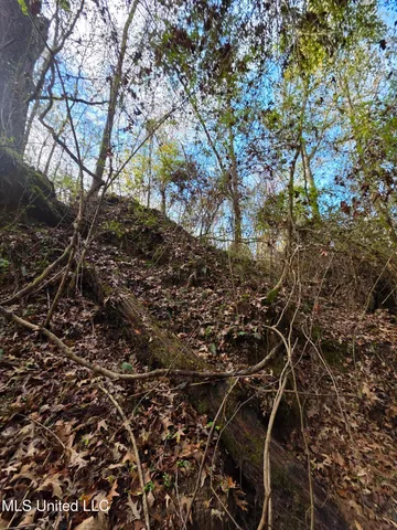 $99,000 | Tate Road, Natchez, MS 39120