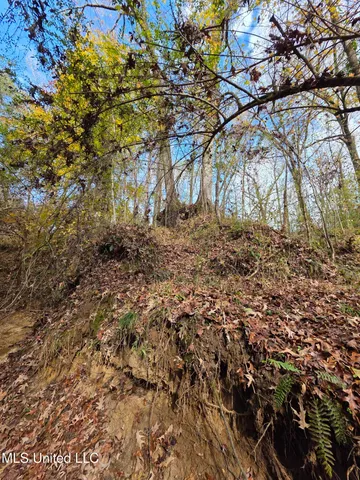 $99,000 | Tate Road, Natchez, MS 39120