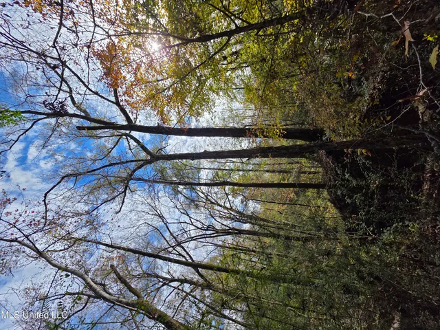 $99,000 | Tate Road, Natchez, MS 39120