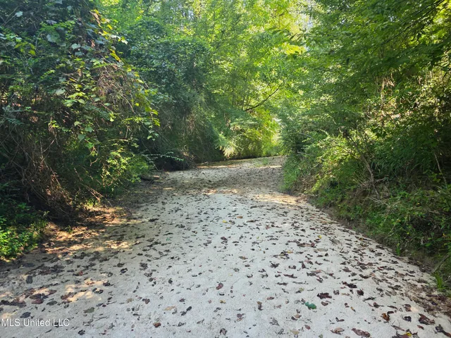 $99,000 | Tate Road, Natchez, MS 39120