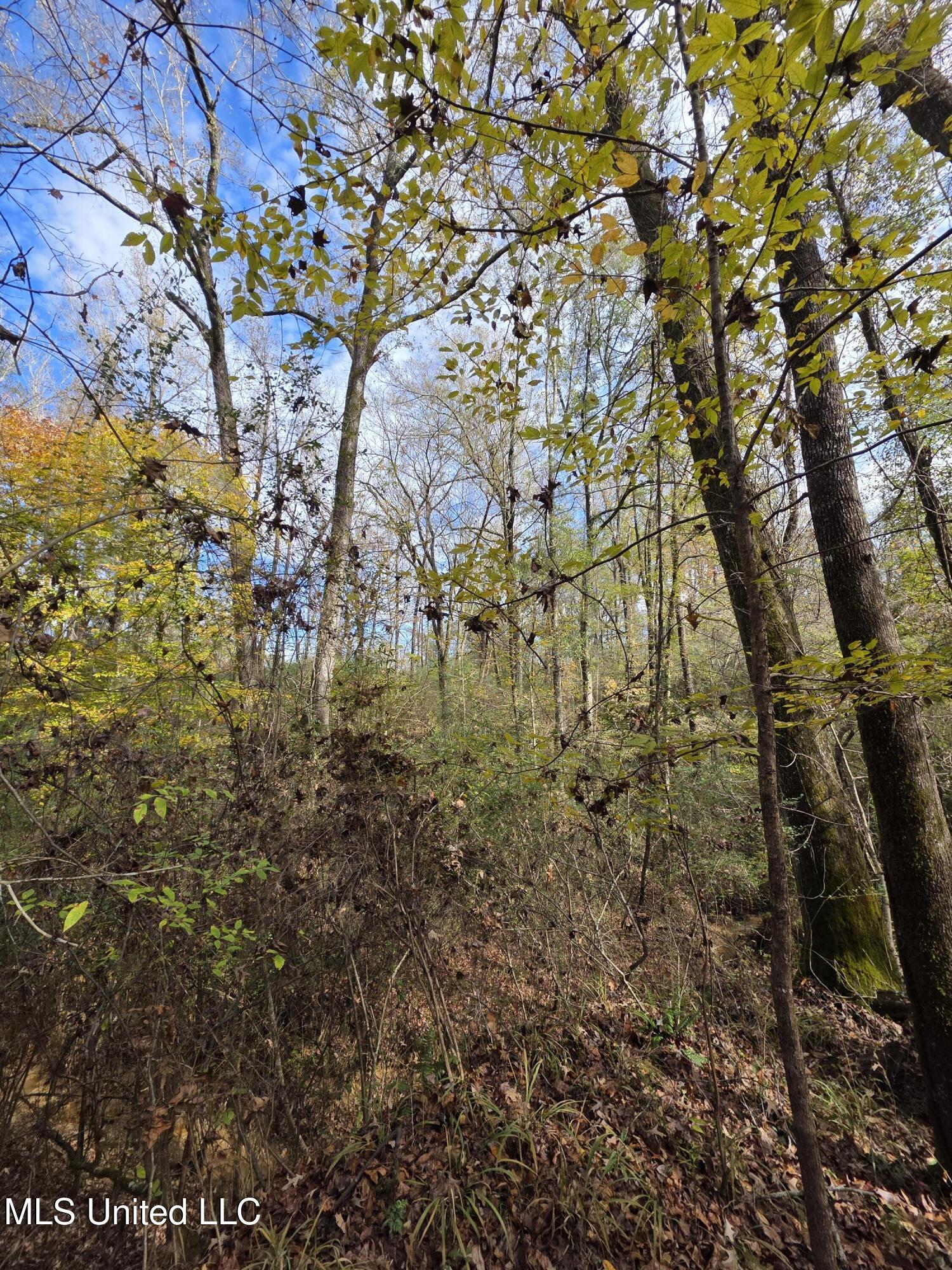 Tate Road Natchez, MS 39120 - Photo 61 of 74 21400
