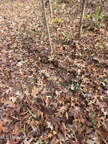 $99,000 | Tate Road, Natchez, MS 39120