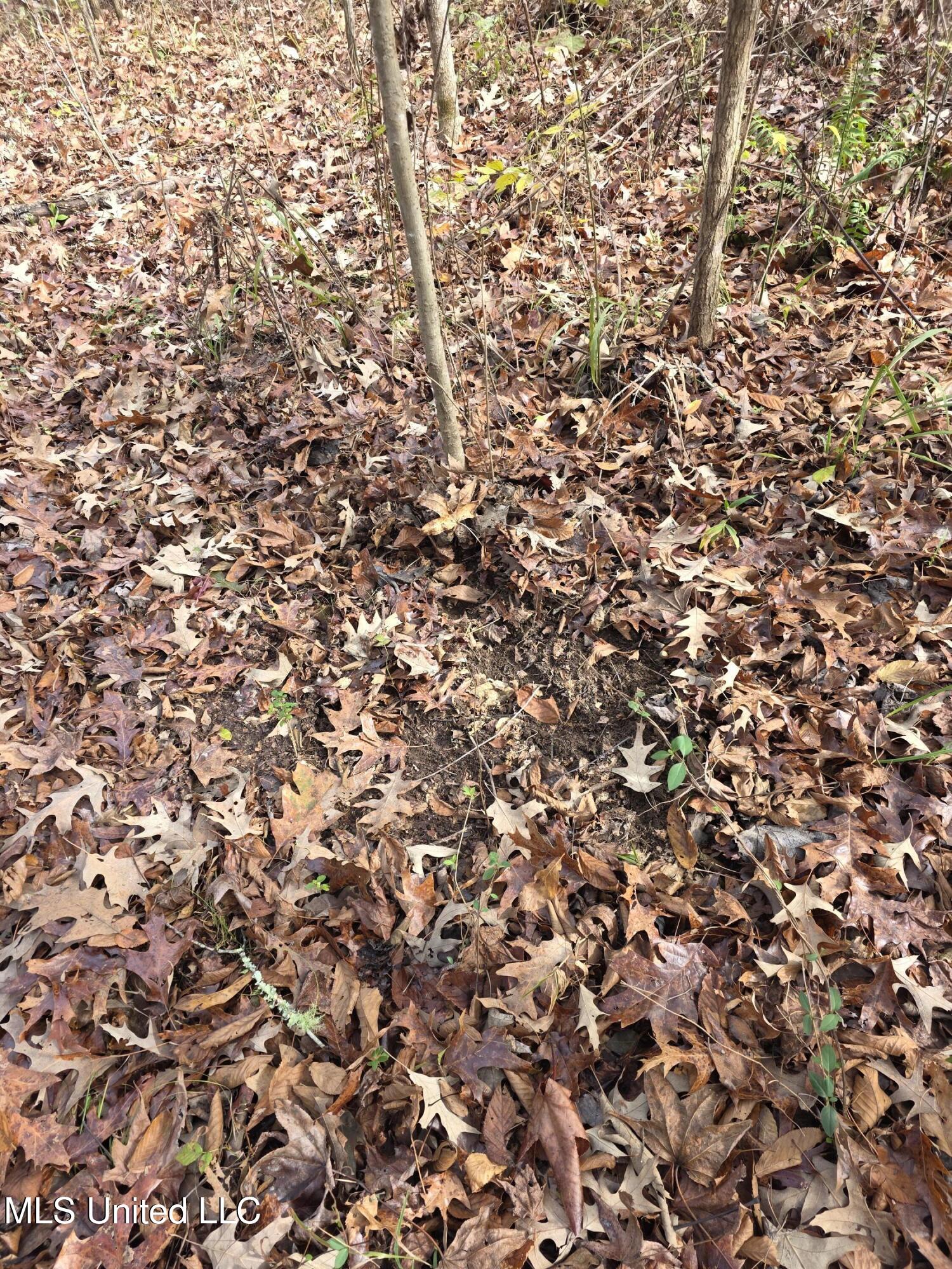 Tate Road Natchez, MS 39120 - Photo 62 of 74 21398