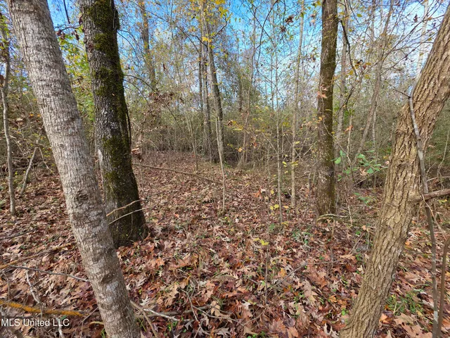 $99,000 | Tate Road, Natchez, MS 39120
