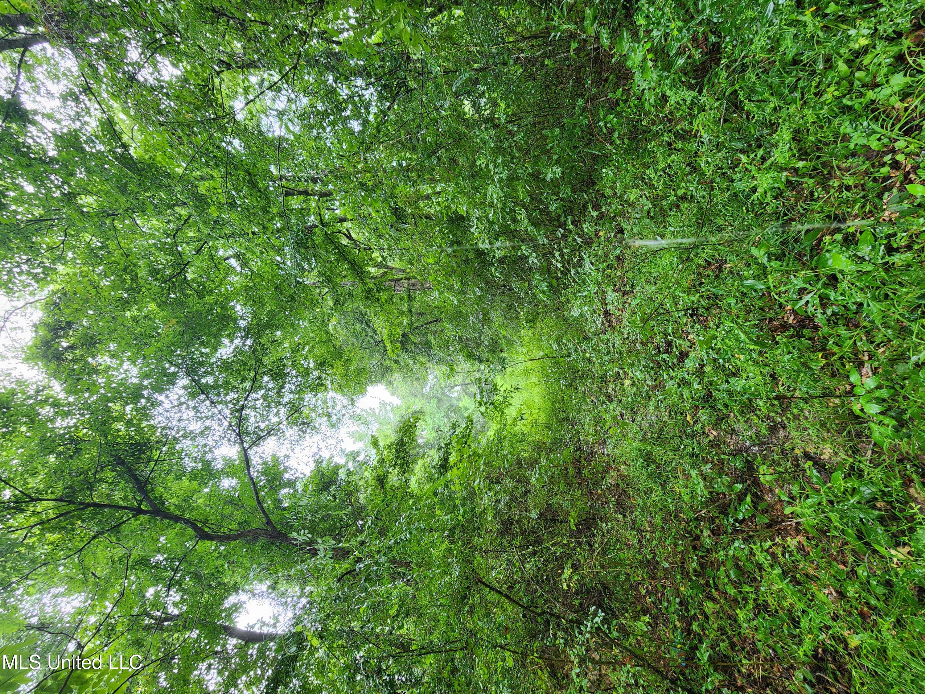 Tate Road Natchez, MS 39120 - Photo 64 of 74 Entrance