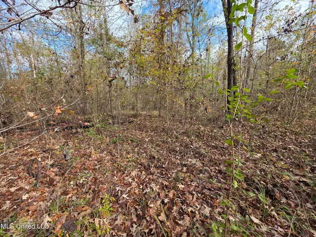 $99,000 | Tate Road, Natchez, MS 39120