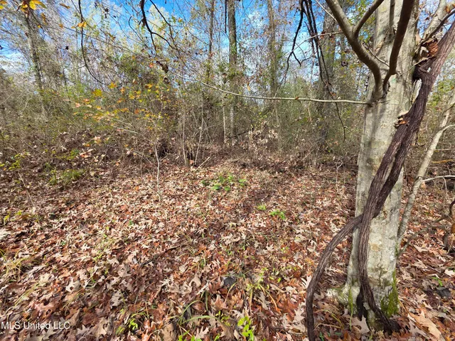 $99,000 | Tate Road, Natchez, MS 39120