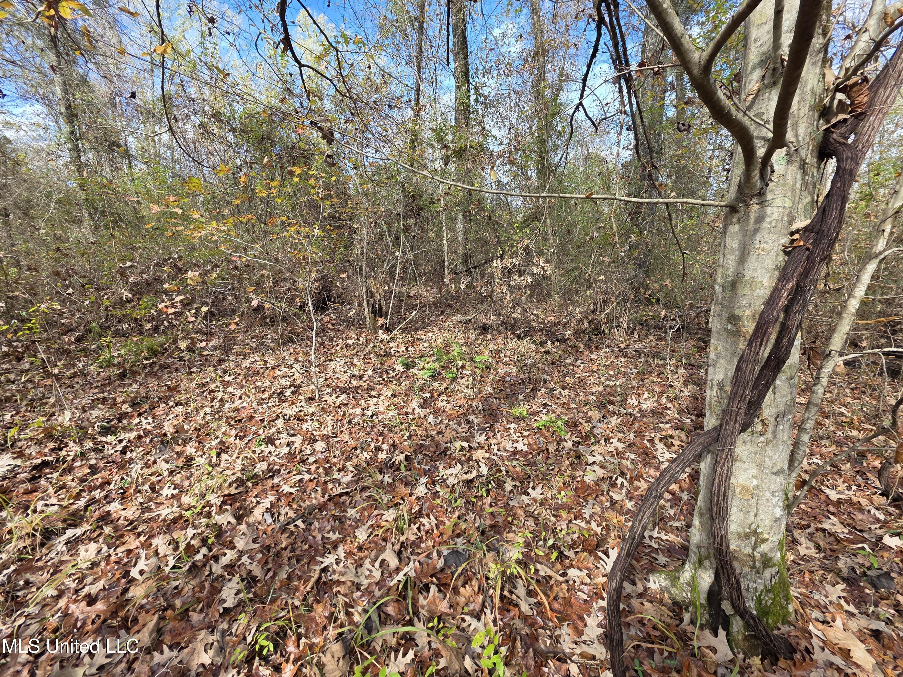 Tate Road Natchez, MS 39120 - Photo 66 of 74 21396