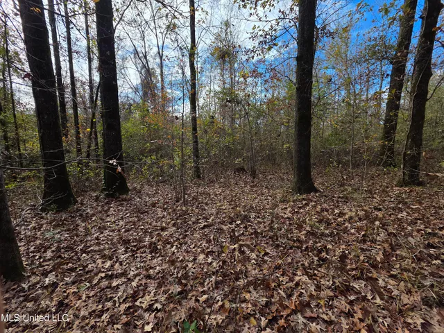 $99,000 | Tate Road, Natchez, MS 39120