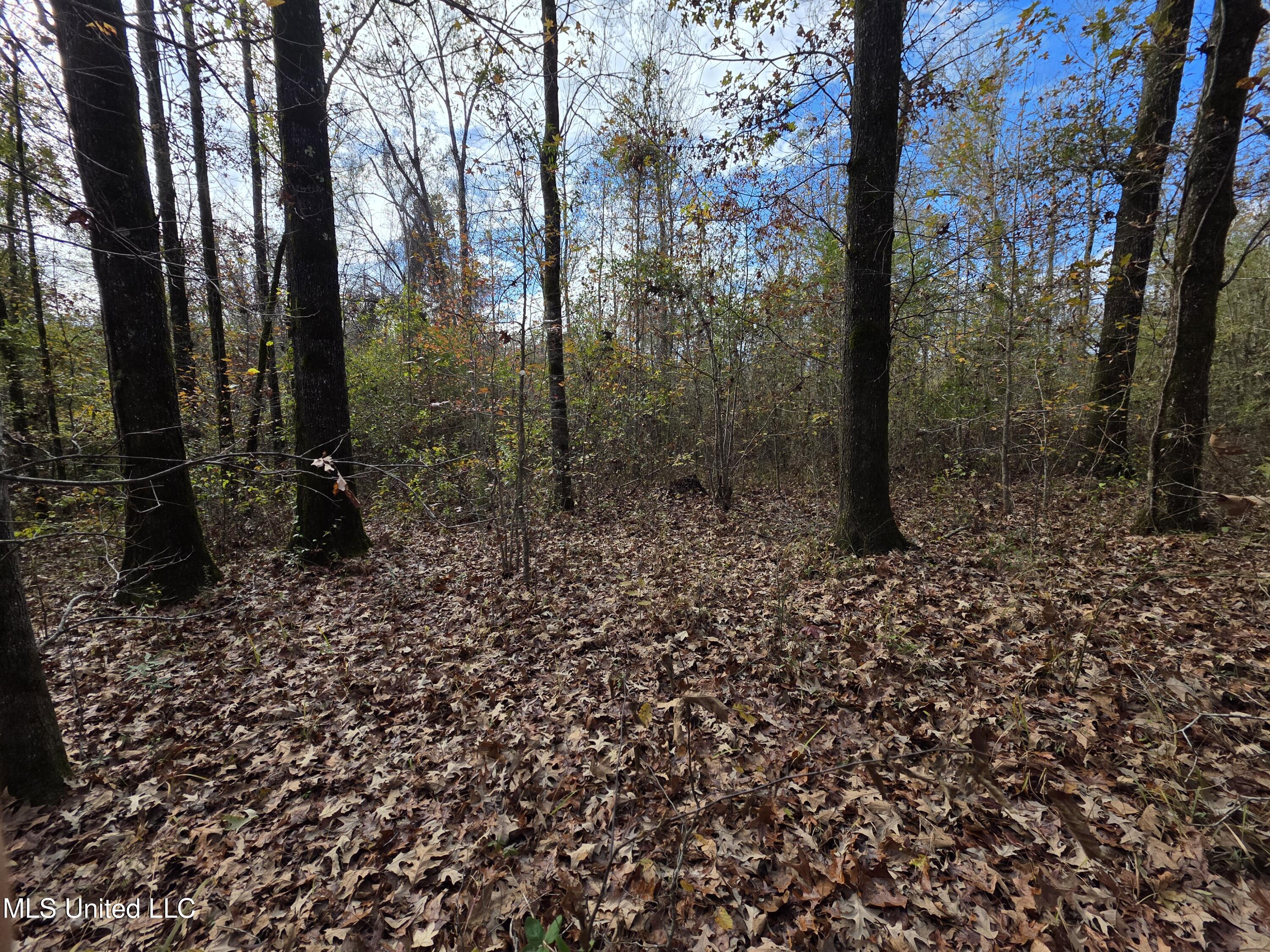 Tate Road Natchez, MS 39120 - Photo 67 of 74 21394