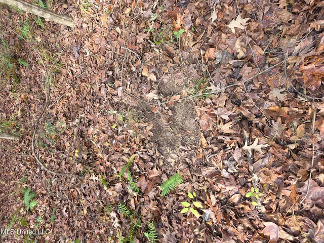 $99,000 | Tate Road, Natchez, MS 39120