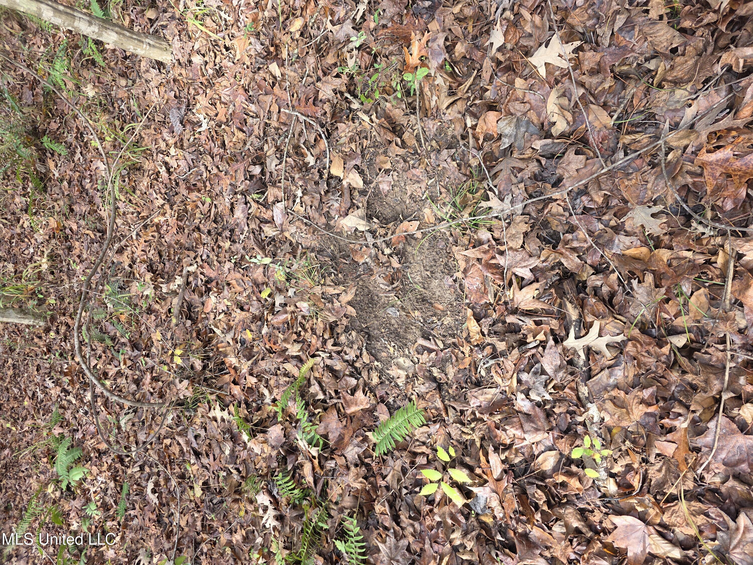 Tate Road Natchez, MS 39120 - Photo 68 of 74 21391