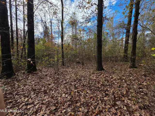 $99,000 | Tate Road, Natchez, MS 39120