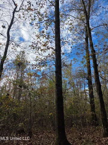 $99,000 | Tate Road, Natchez, MS 39120