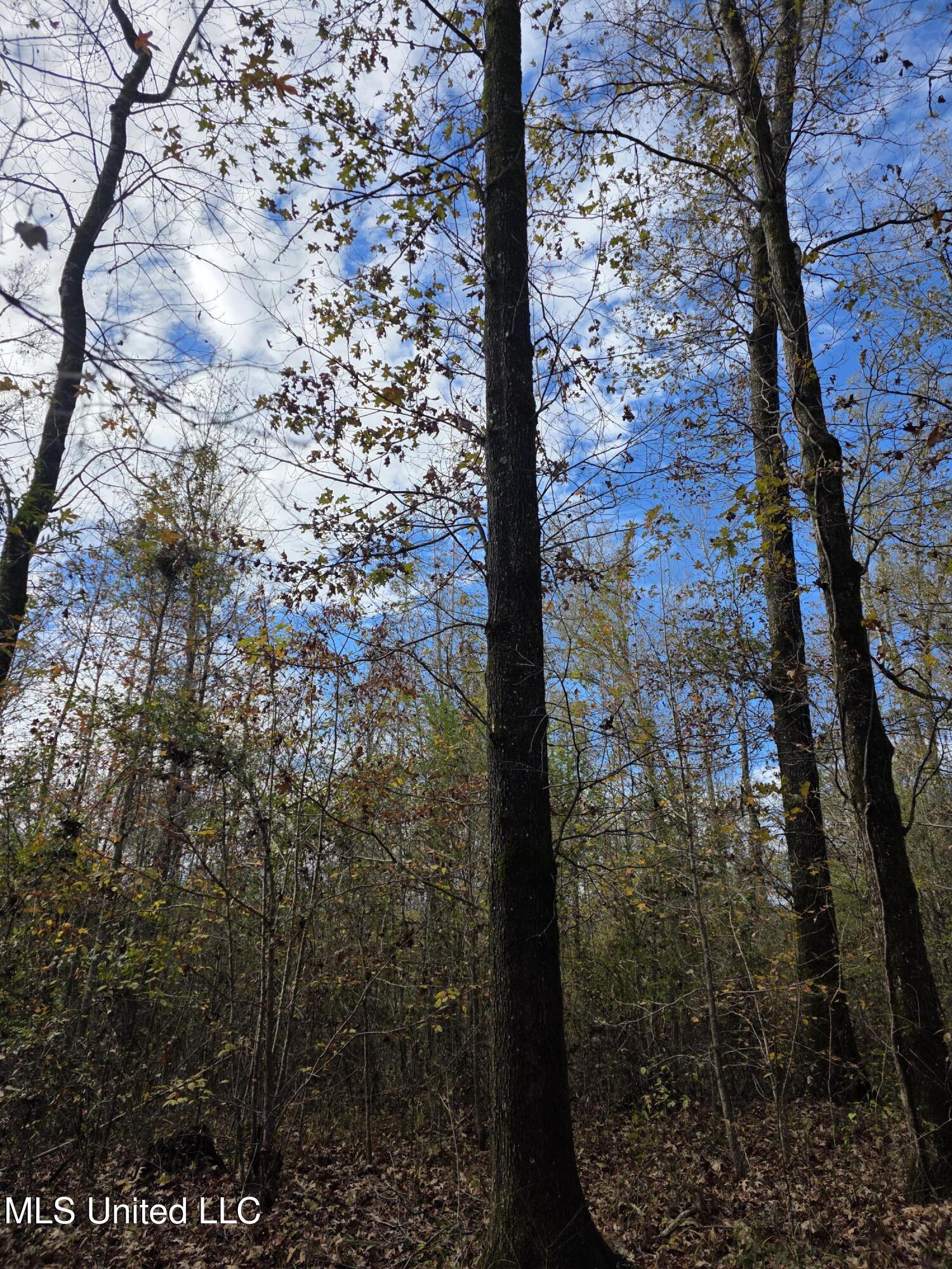 Tate Road Natchez, MS 39120 - Photo 70 of 74 21393
