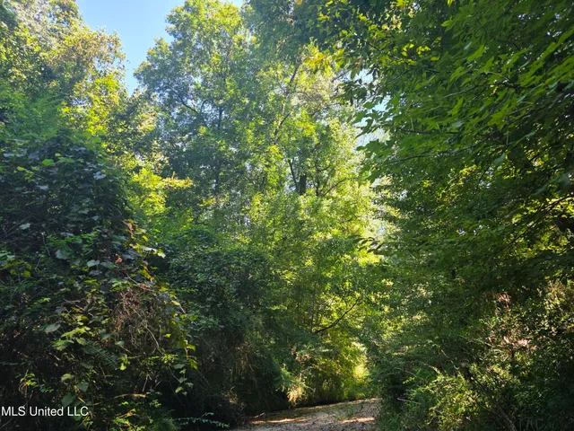 $99,000 | Tate Road, Natchez, MS 39120