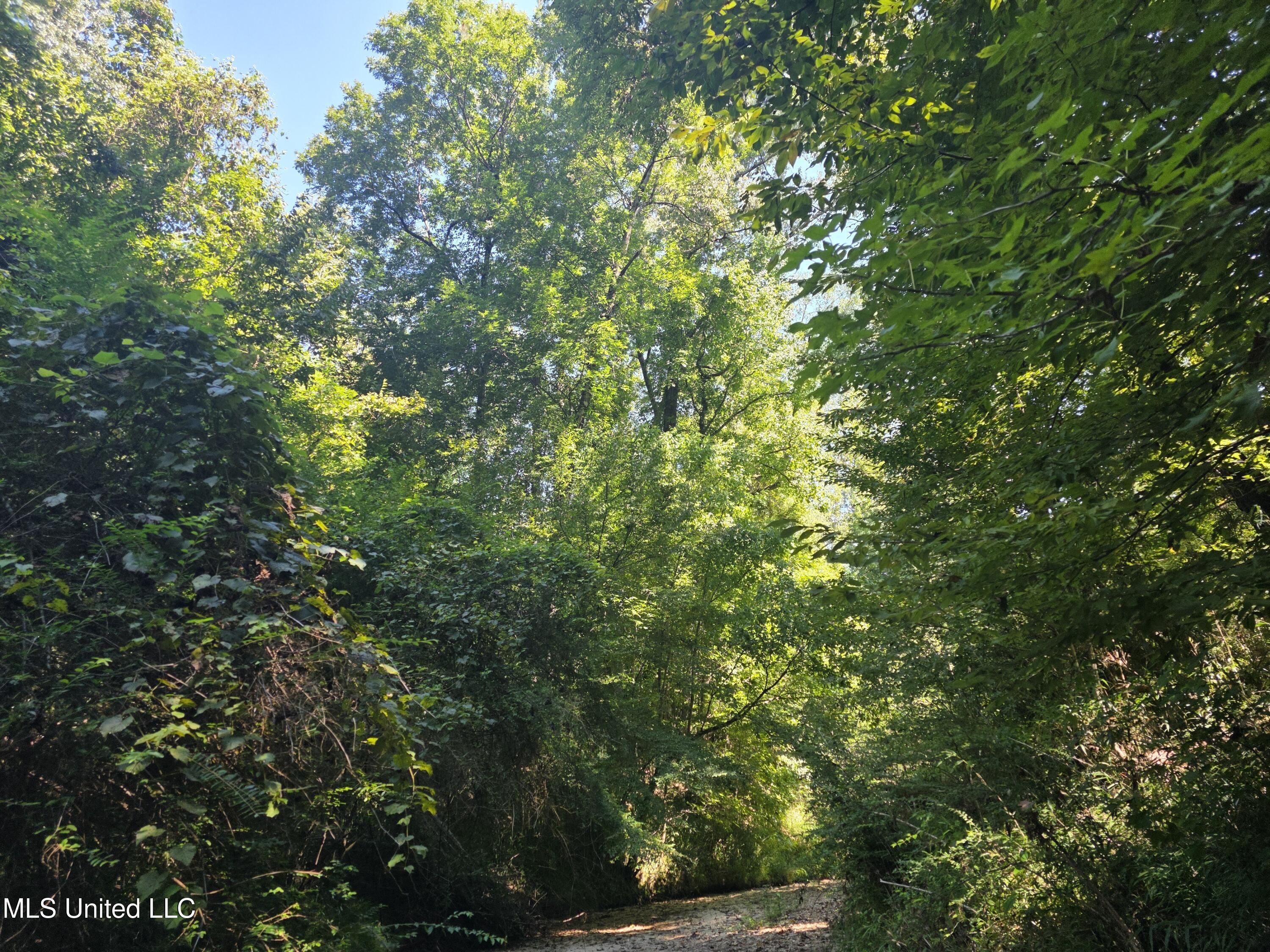Tate Road Natchez, MS 39120 - Photo 7 of 74 15824