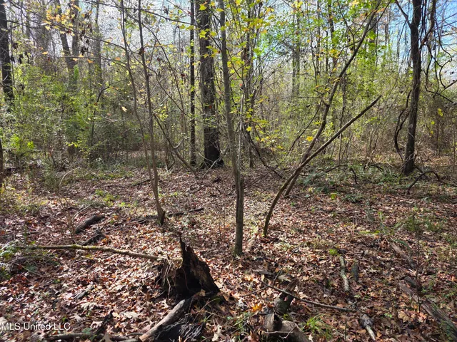 $99,000 | Tate Road, Natchez, MS 39120