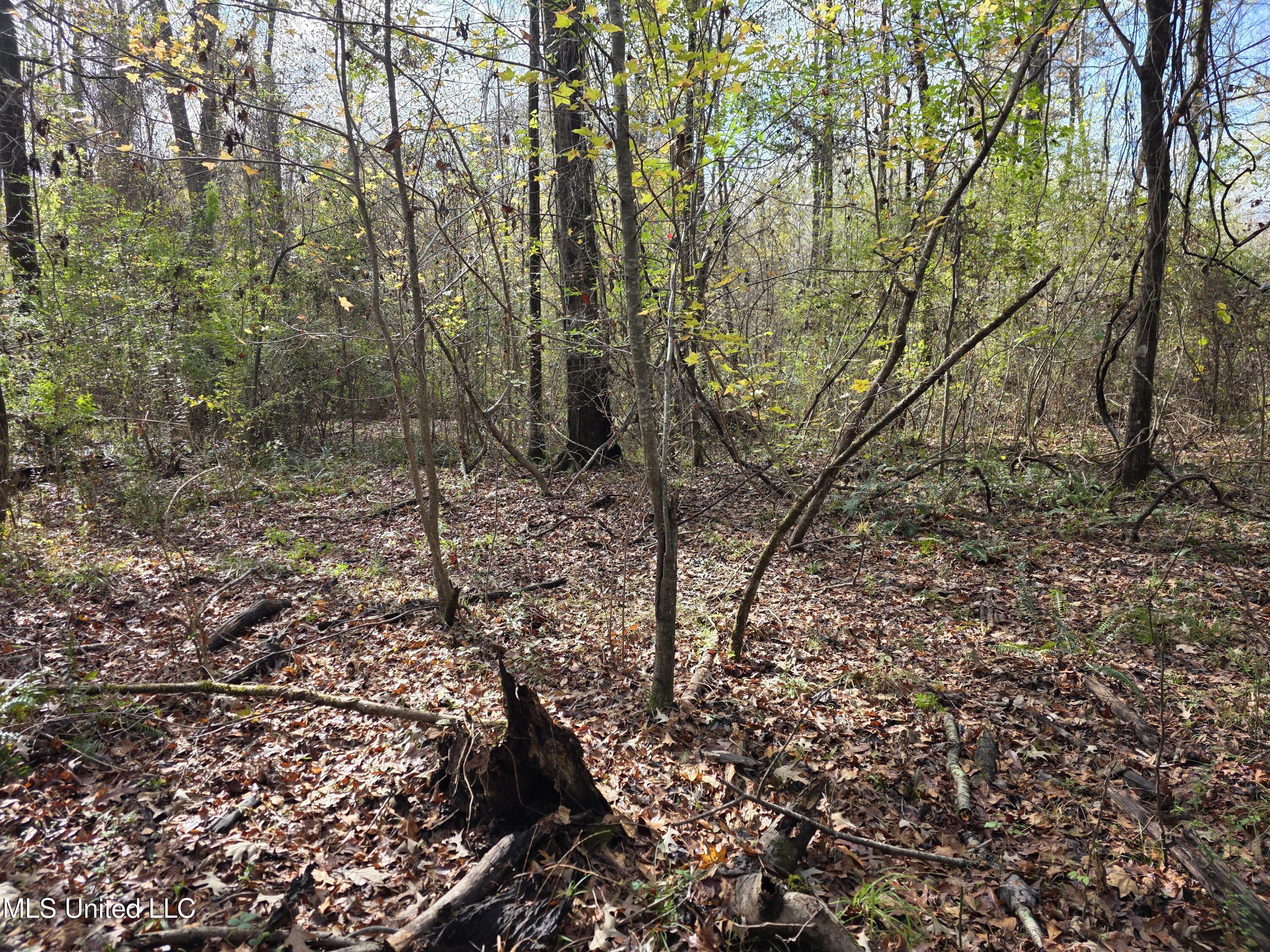 Tate Road Natchez, MS 39120 - Photo 71 of 74 21390