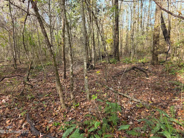 $99,000 | Tate Road, Natchez, MS 39120