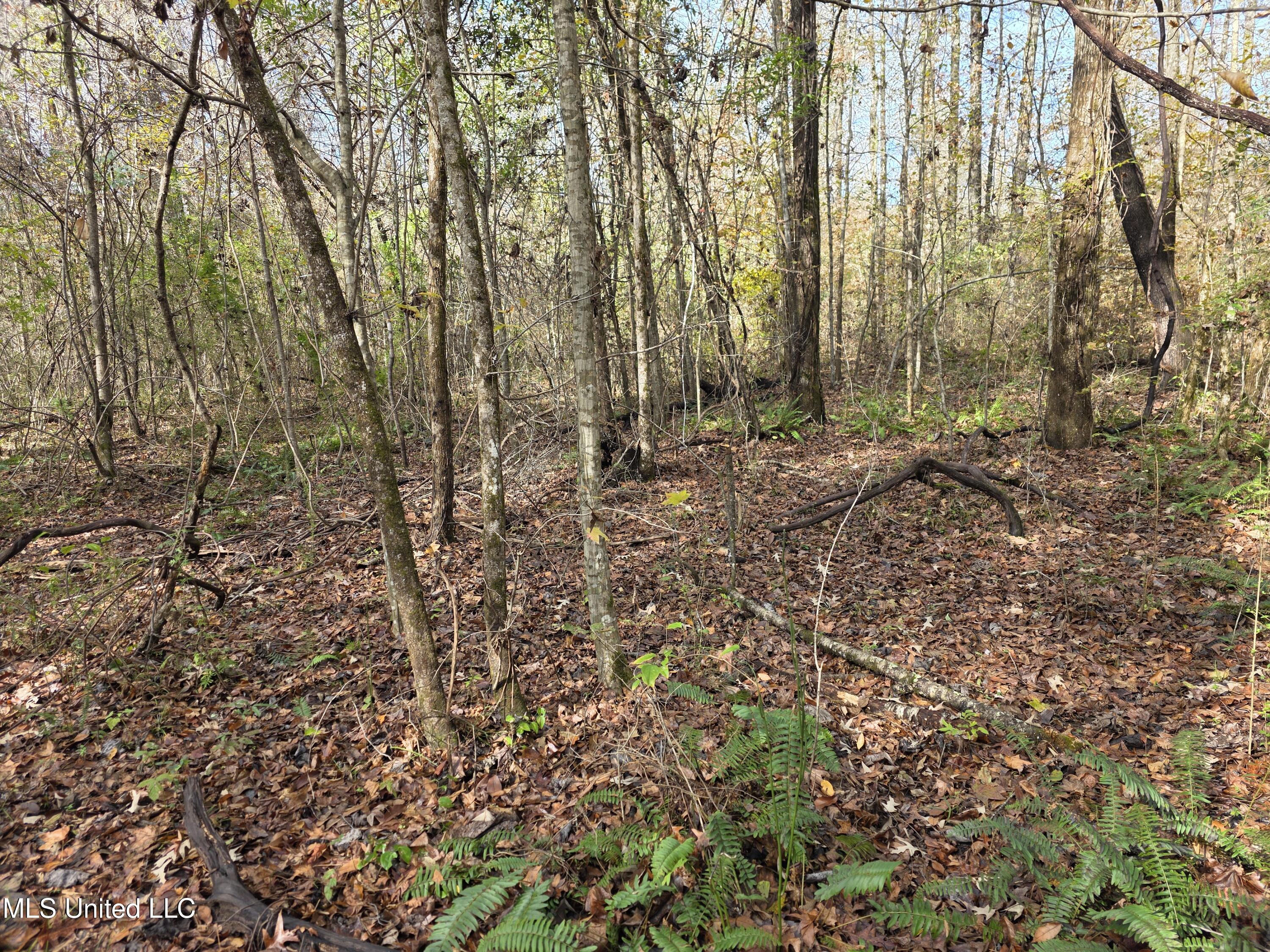 Tate Road Natchez, MS 39120 - Photo 72 of 74 21388