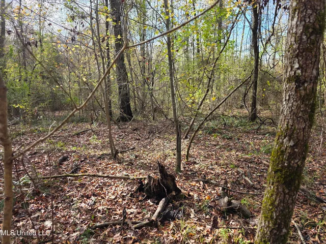 $99,000 | Tate Road, Natchez, MS 39120