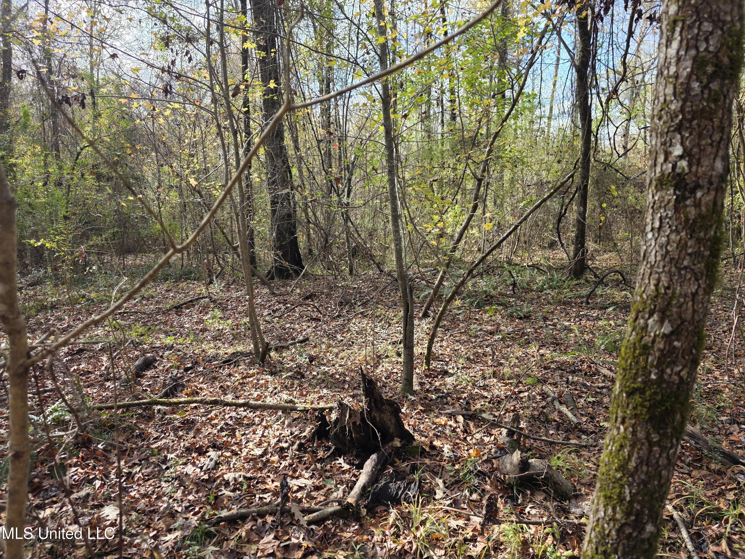 Tate Road Natchez, MS 39120 - Photo 73 of 74 21389
