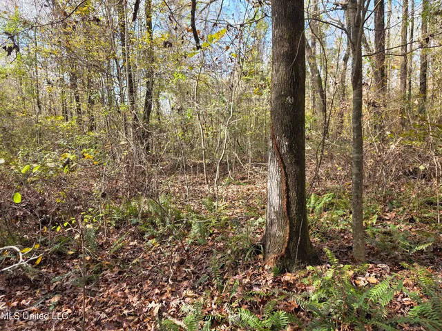 $99,000 | Tate Road, Natchez, MS 39120