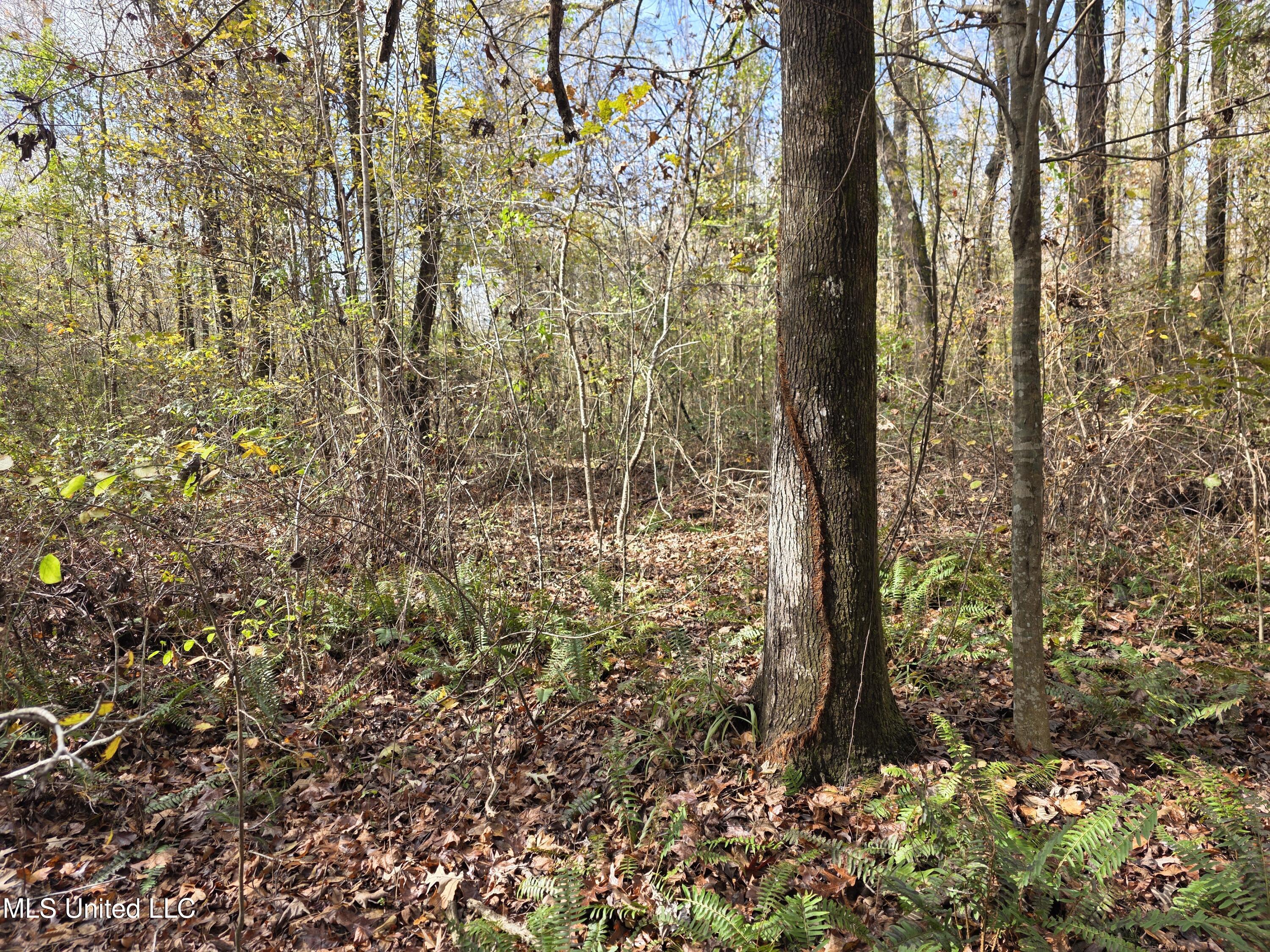 Tate Road Natchez, MS 39120 - Photo 74 of 74 21387