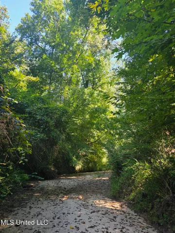 $99,000 | Tate Road, Natchez, MS 39120