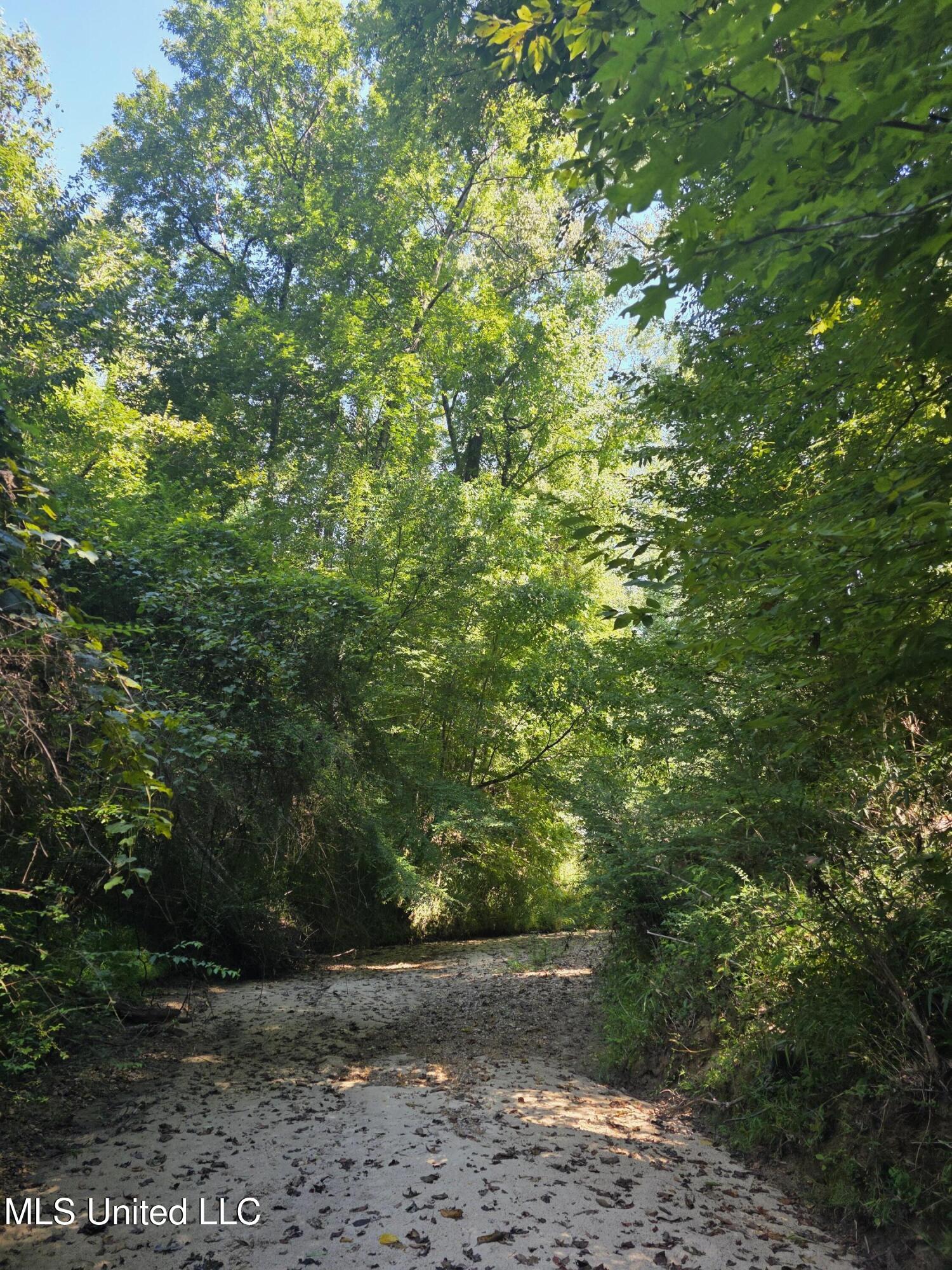 Tate Road Natchez, MS 39120 - Photo 8 of 74 15825