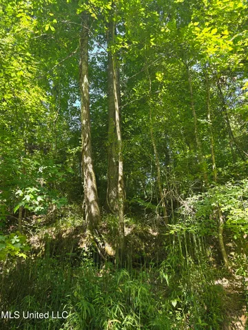 $99,000 | Tate Road, Natchez, MS 39120
