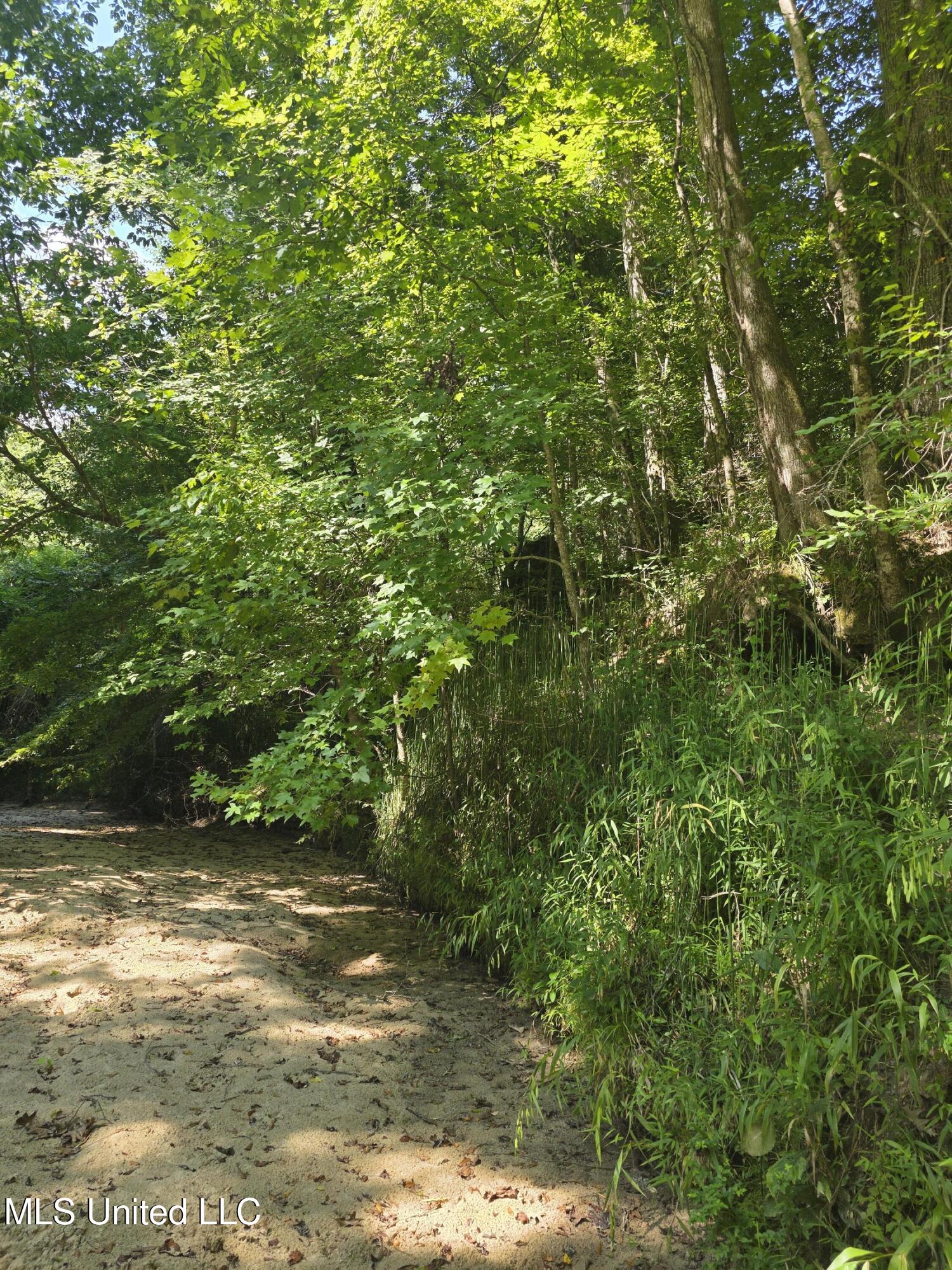 Tate Road Natchez, MS 39120 - Photo 10 of 74 15827